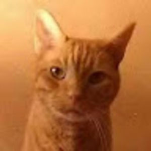 Meet your Posher, Miamijules1